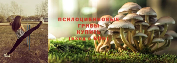 мет Абаза
