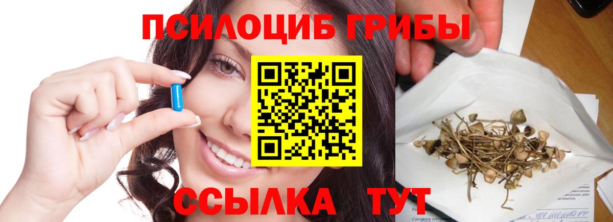 Лабинск  Галлюциногенные грибы Cubensis  Вход с VPN 